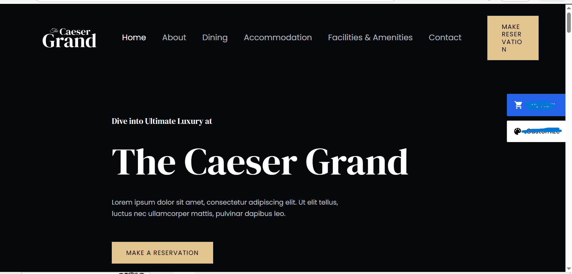 luxury Hotel website devlopment & design by Soriox